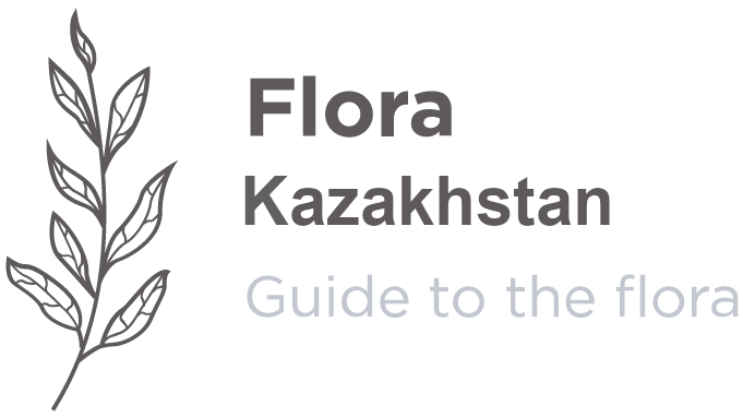 Flora Turkmenistan